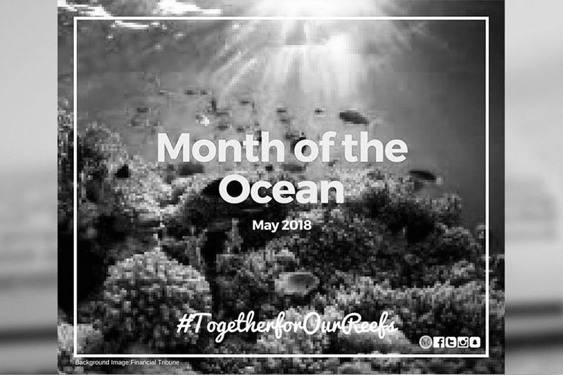 NYC calls for â��Month of the Oceanâ�� involvement
