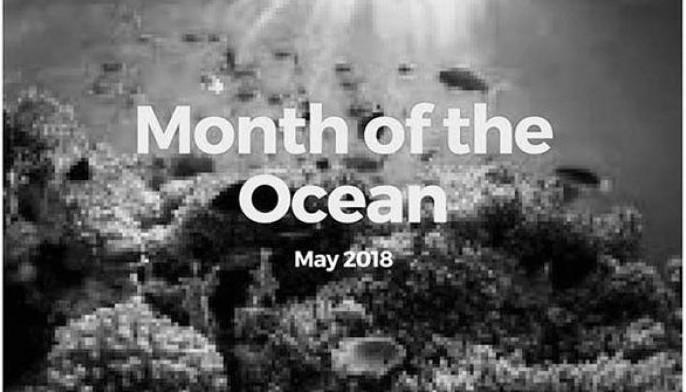NYC calls for &lsquo;Month of the Ocean&rsquo; involvement