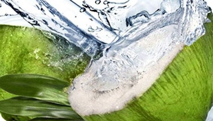 As Phl Exports double in 2016: Government wants small farmers to profit from coco water