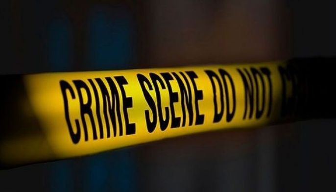 20 slain in attacks, stings