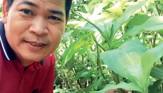 Insulin plant sagot sa 15 milyong Pinoy na may diabetes