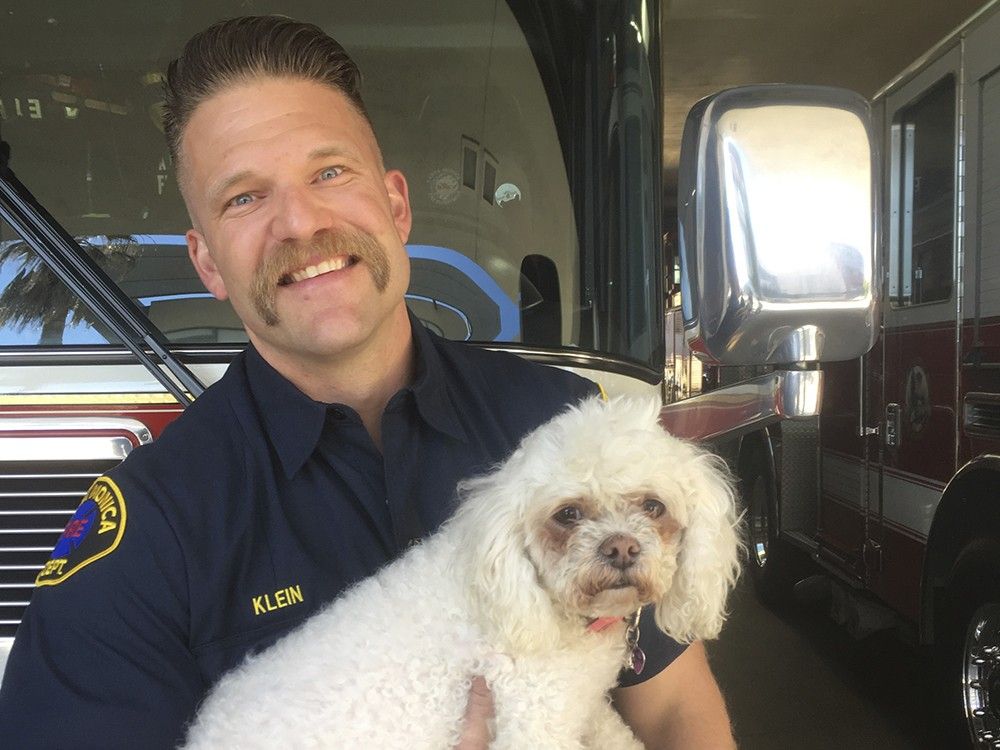 Dog pulled from California fire revived after 20 minutes