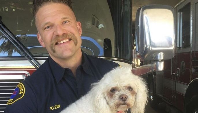 Dog pulled from California fire revived after 20 minutes