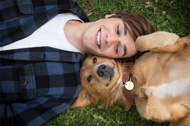 Review: 'A Dogâ��s Purpose' speaks to the hearts of anyone who has ever loved a dog