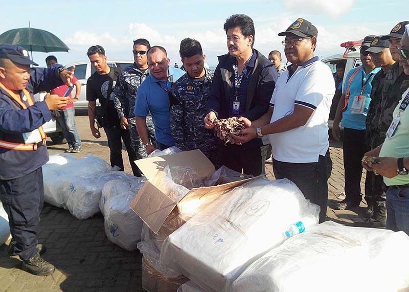 P5.7 million worth of dried seahorses seized in Zambo
