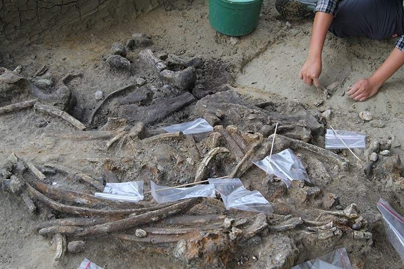 Early humans in the Philippines 700,000 years ago: study