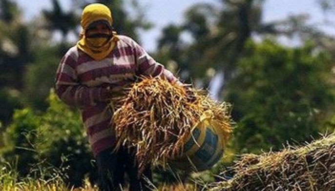 DA hopeful agricultural production up 2% in Q1