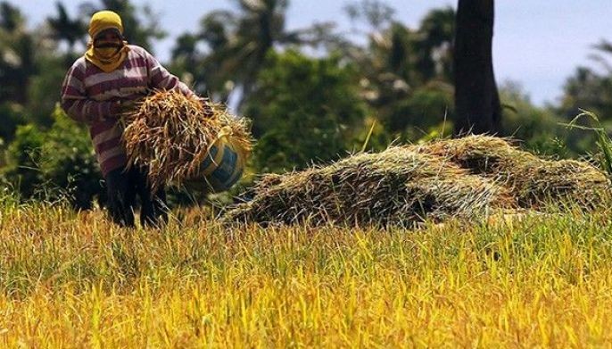 Agriculture production surges 1.47% in Q1