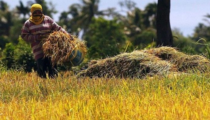 Villar suportado ang agricultural innovation