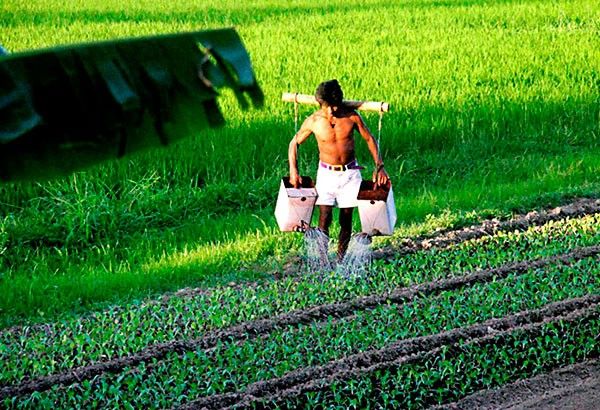 Duterte ok'd scaling up of Cordillera agri program
