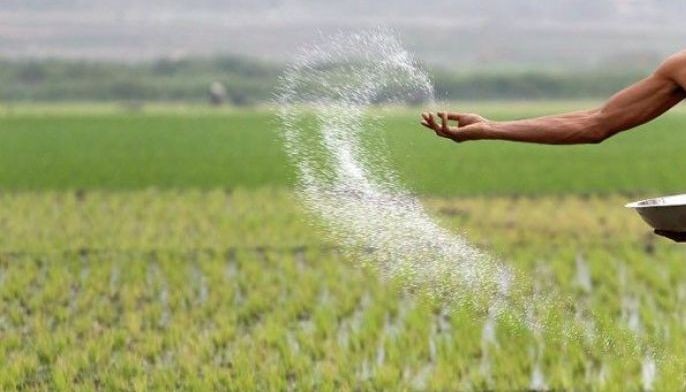 Ex-Energy secretary, mom charged for fertilizer scam