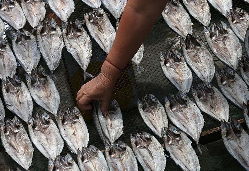 Zambo peninsula ready to supply fish to Manila, areas devastated by 'Ompong'