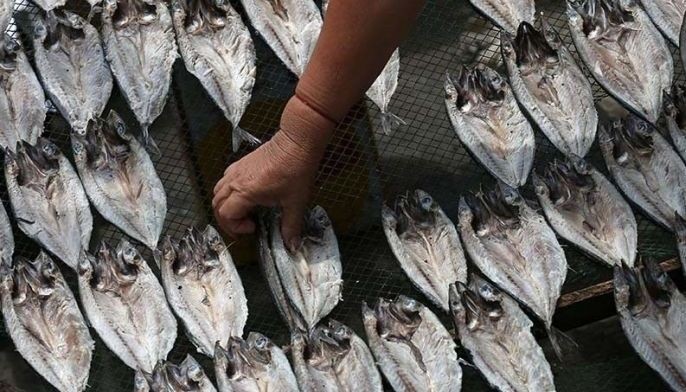 Zambo peninsula ready to supply fish to Manila, areas devastated by 'Ompong'