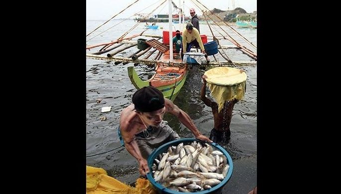 Pinoys able to fish freely, undisturbed