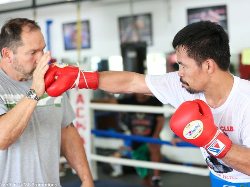 Pacquiao can stop Matthysse â�� Fortune