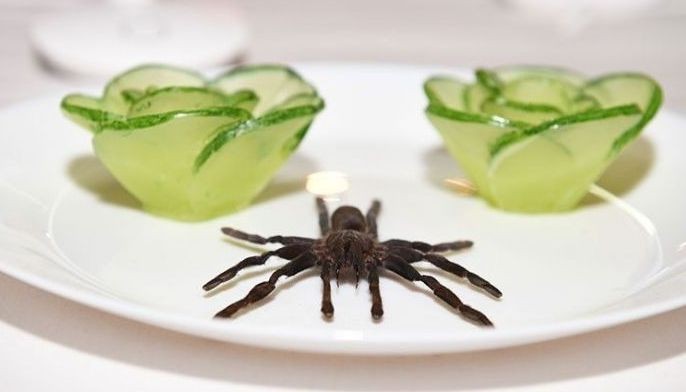 Maggot cheese, putrid sea herring or virgin boy &mdash; bon appetit!