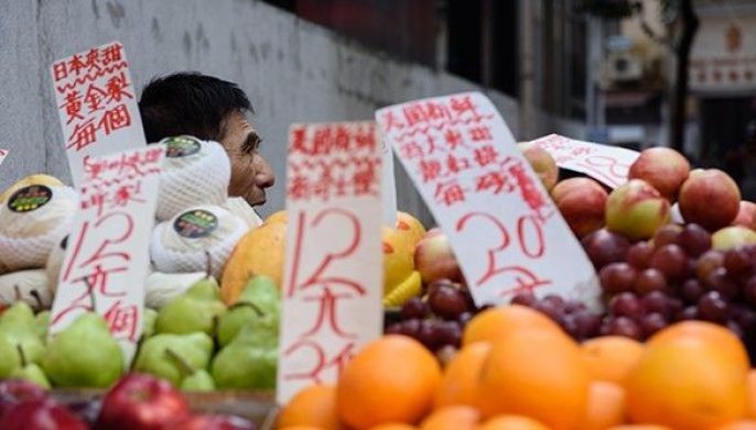 Fruit fuelled evolution of a bigger brain, study says