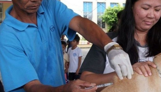 Anti-rabies protocol modified due to vaccine shortage