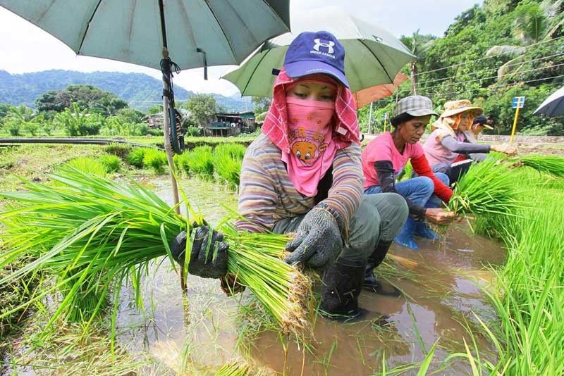 Philippines, Papua New Guinea begin farming cooperation