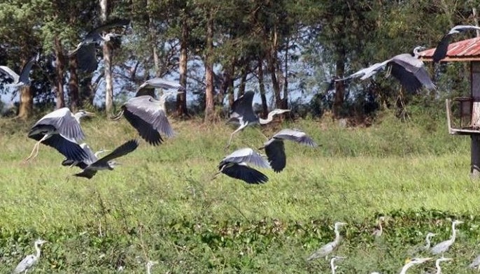Expanded law on protected areas to be signed soon