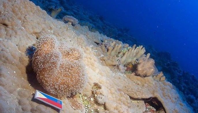 Philippines won&rsquo;t recognize Chinese names for Benham Rise features