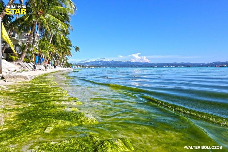 Boracay agrarian reform to cover 900 hectares