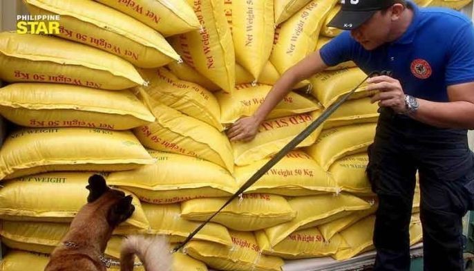 Smuggled rice seized in Basilan