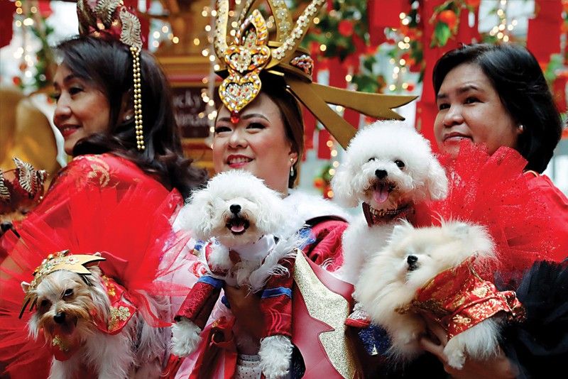Chinese welcome Year of the Dog
