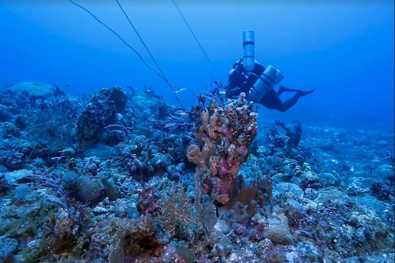 Philippines to give Benham Rise undersea features Filipino names