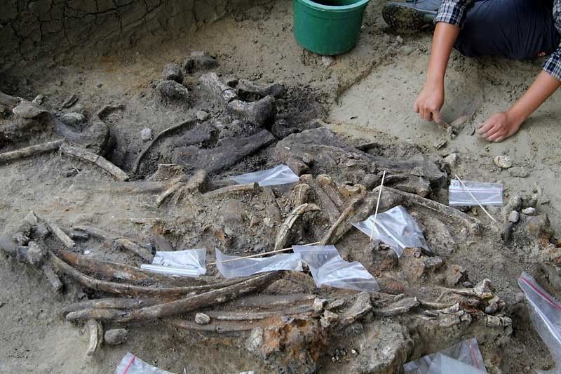 Humans lived in Philippines 709,000 years ago â�� study