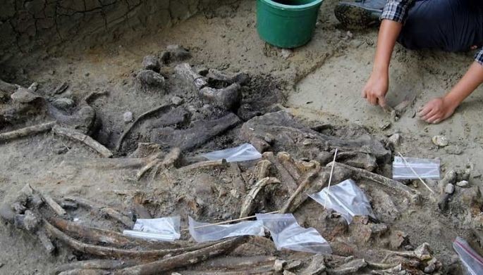 Humans lived in Philippines 709,000 years ago &ndash; study