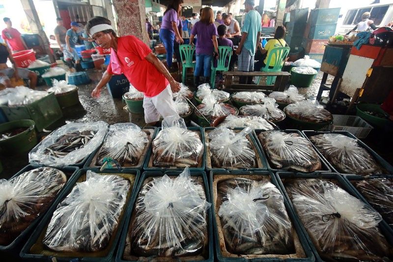 DOH warns vs formalin-tainted  imported galunggong