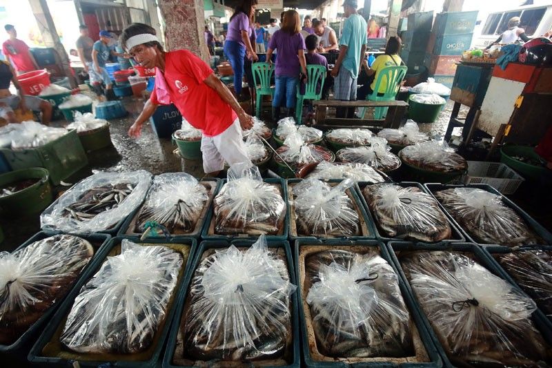 DA urged to halt fish import this October