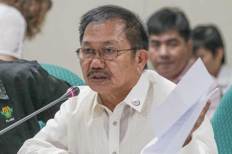 No â��unimpededâ�� rice importation, says Agriculture chief