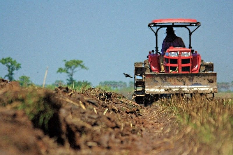 Department of Agrarian Reform yet to distribute 0.5 million hectares to farmers