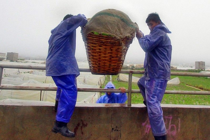 Philippines highlights plan for disaster resilience at UN forum