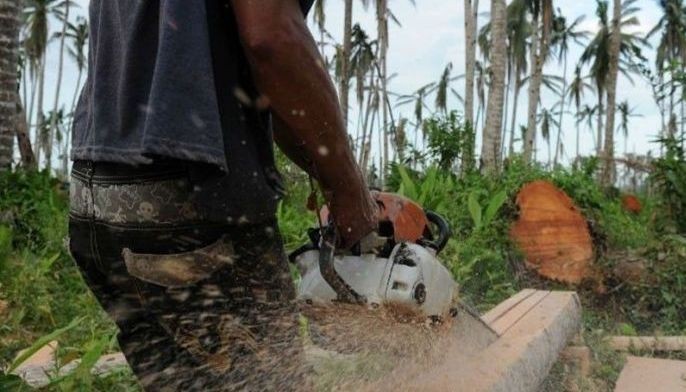 DENR calls for end to impunity in environmental crimes