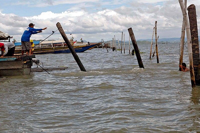 Illegal fish pens dismantled in Laguna de Bay