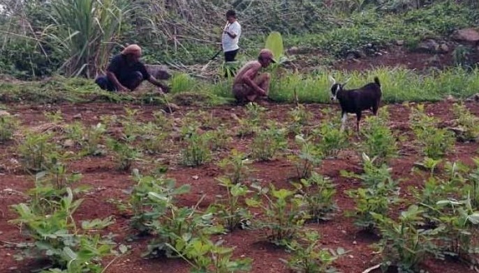 Senate urged to pass National Land Use bill