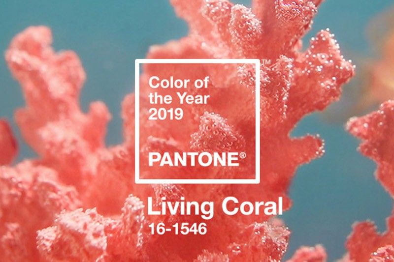 Pantone unveils 'energizing' Living Coral as 2019 color of the year