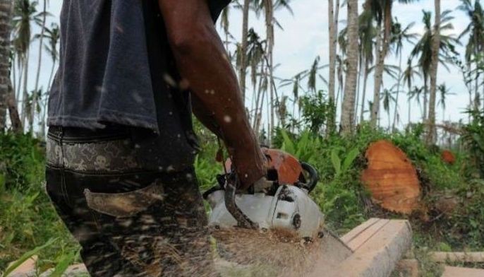4 nabbed for illegal logging