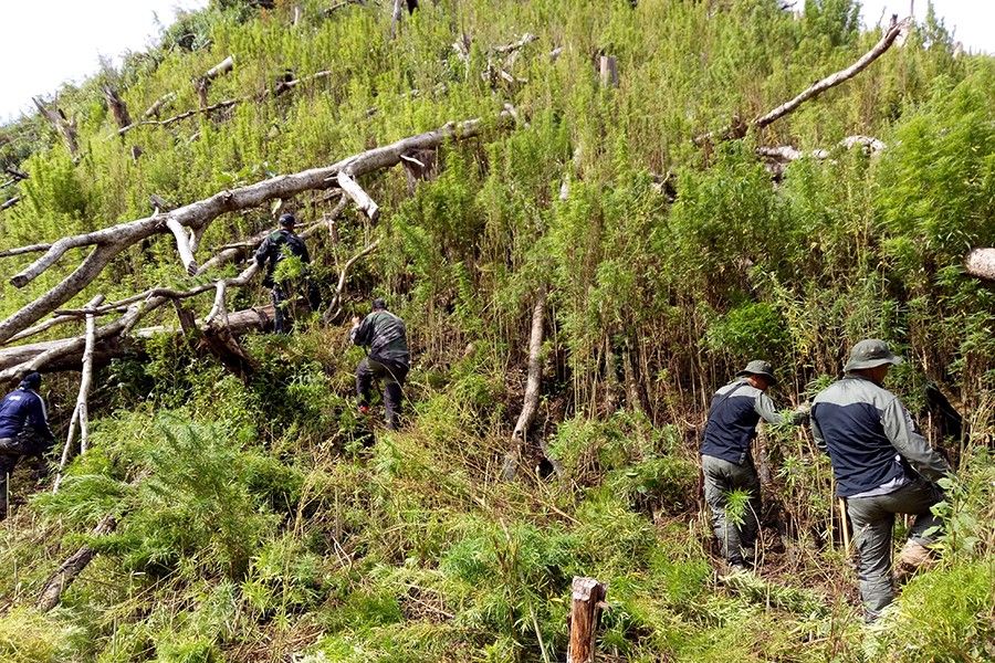 Abra free of drugs, town anti-narcotics councils say