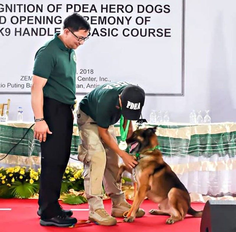 PDEA honors â��heroâ�� dogs that detected shabu shipments