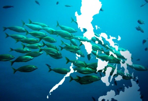 Philippines named one of 5 champions for migratory species