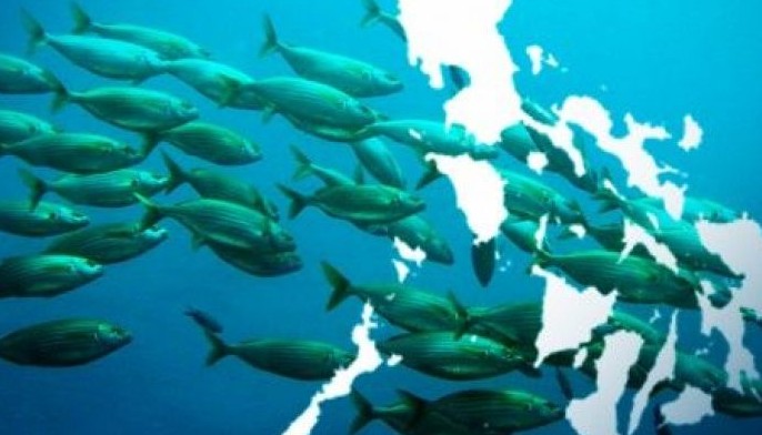 Philippines named one of 5 champions for migratory species