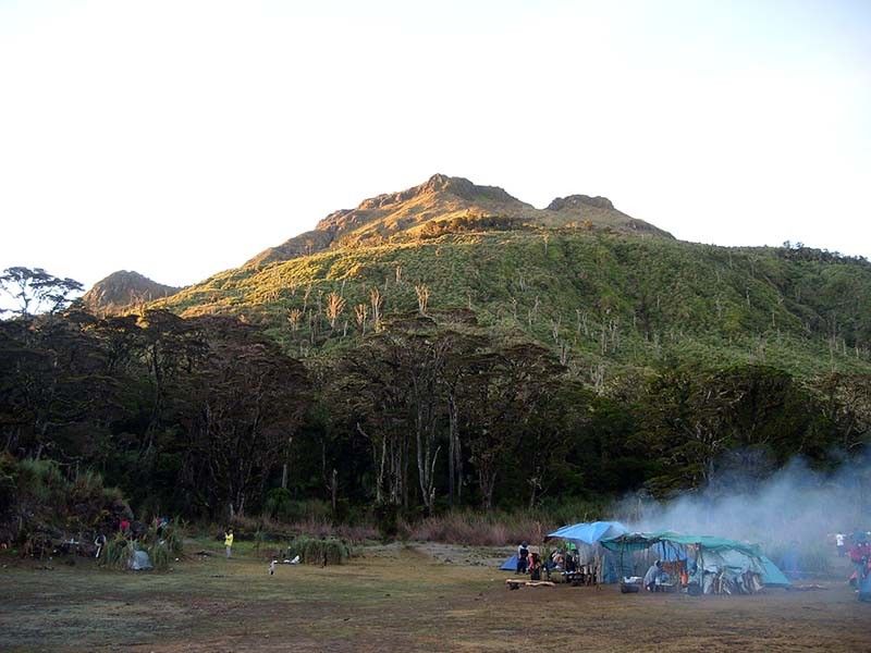 Biologist dies on trek to study Mount Apo fauna