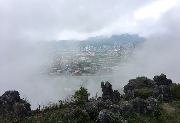 Coffee among the clouds