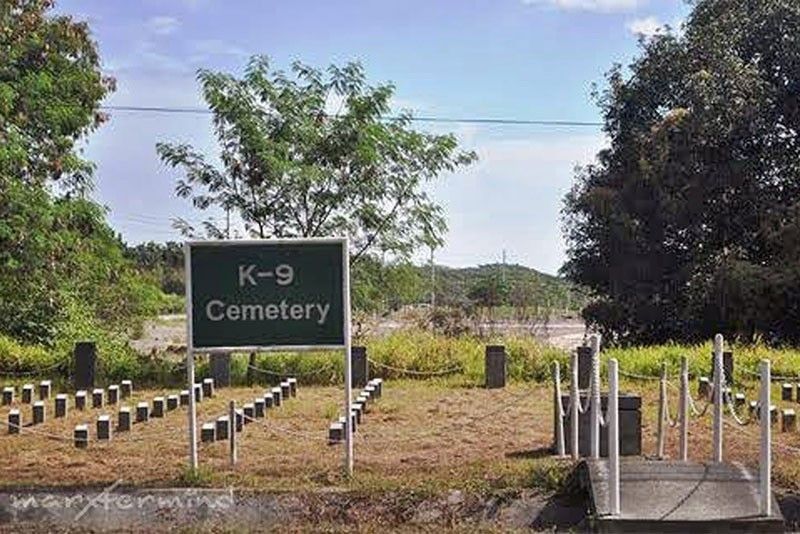 Clark â��dog heroesâ�� cemetery to be restored
