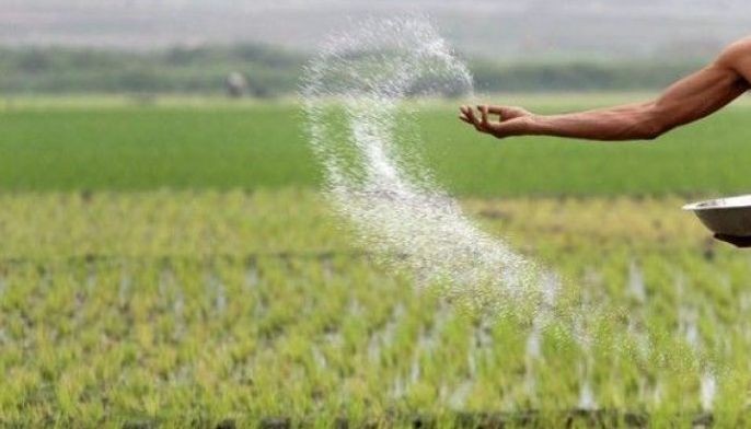 Ex-Leyte governor faces raps over fertilizer scam