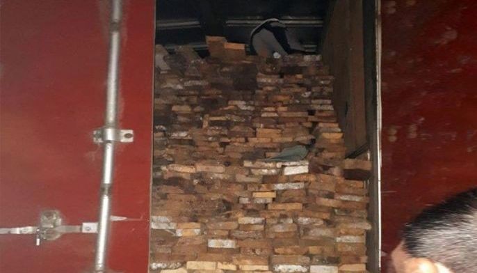 P1.2 million illegal lumber seized
